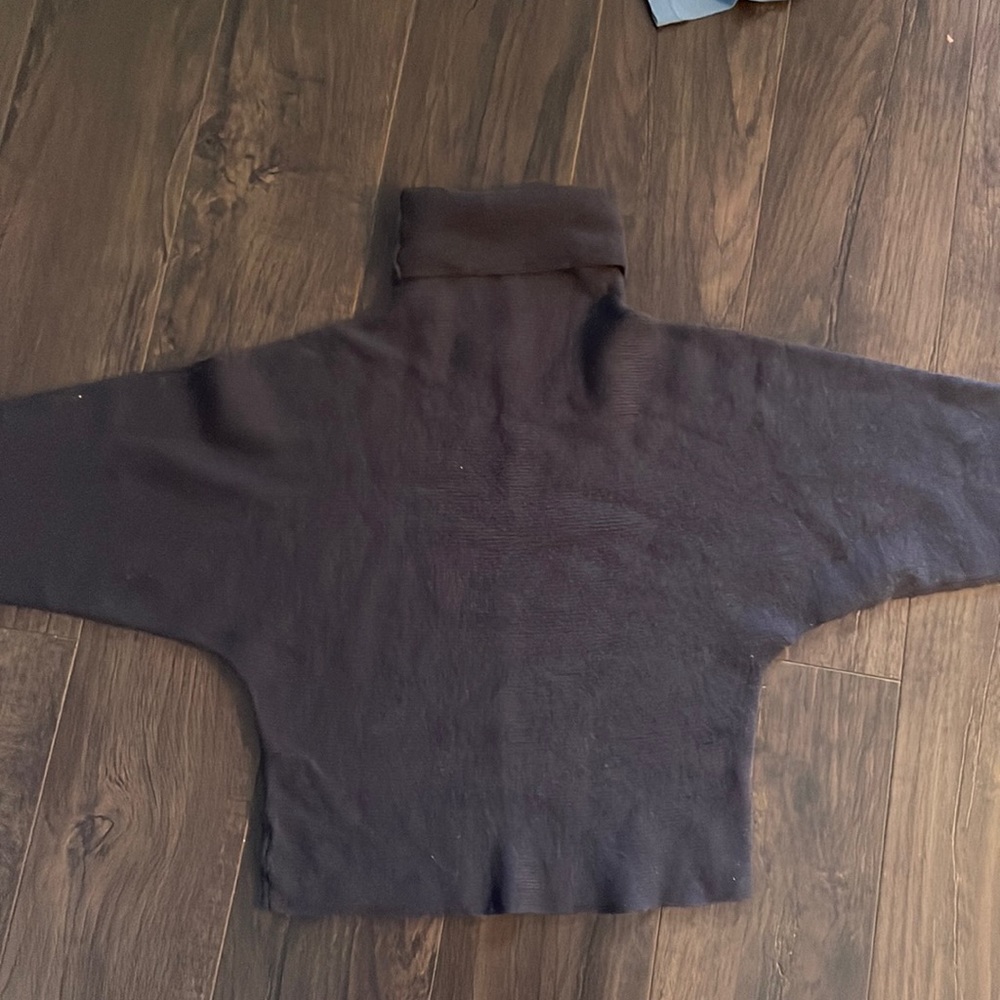 Aritzia Babaton Xs Batwing sweater crop